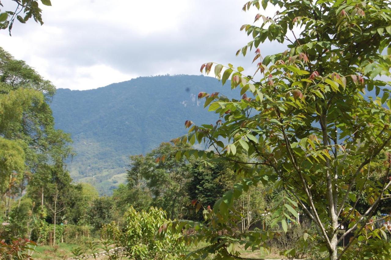 Ecohotel Alma กาลาร์กา ภายนอก รูปภาพ