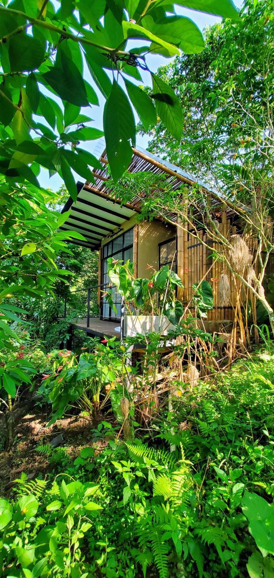 Ecohotel Alma กาลาร์กา ภายนอก รูปภาพ