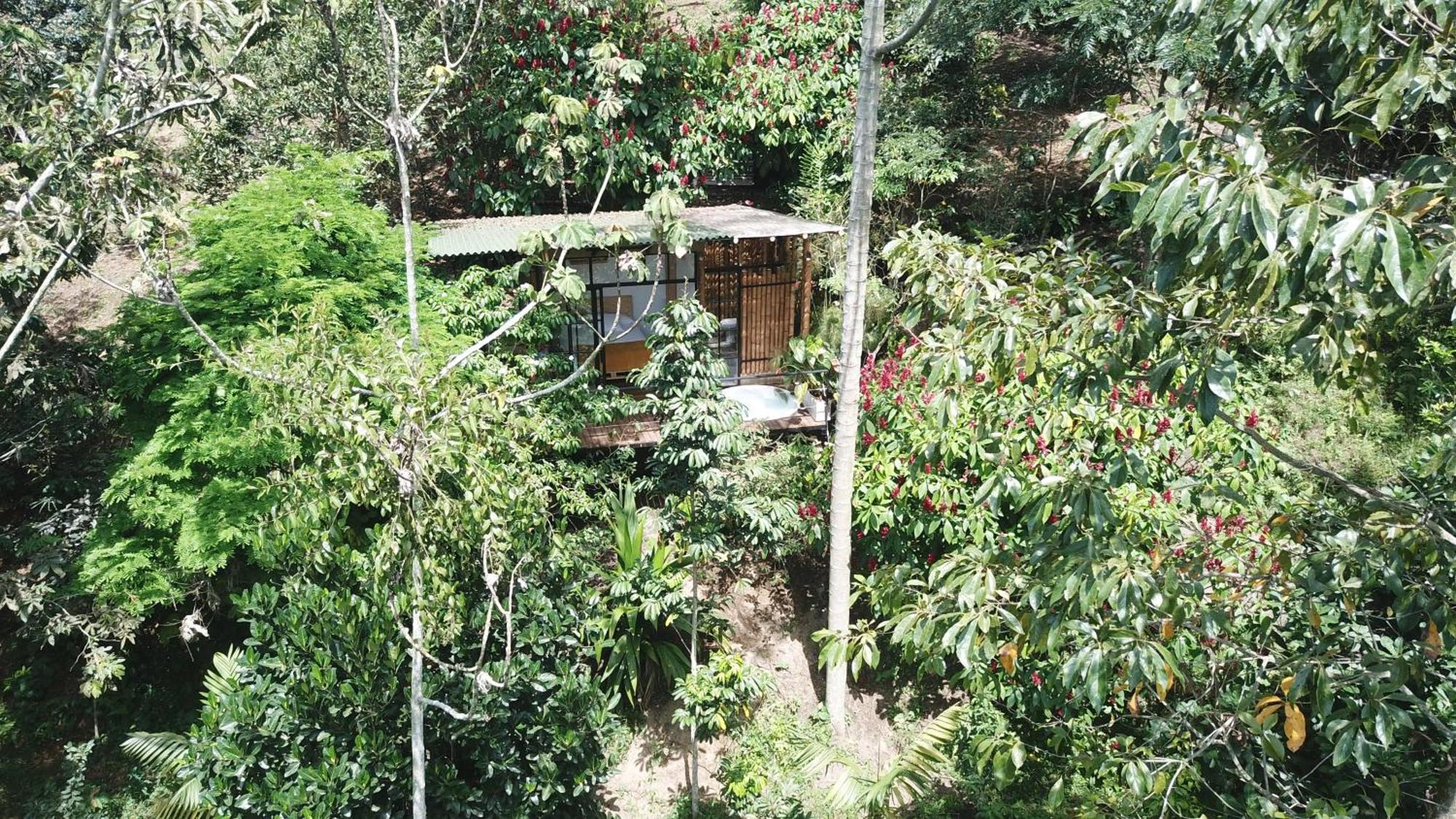 Ecohotel Alma กาลาร์กา ภายนอก รูปภาพ
